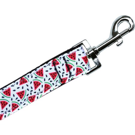 MIRAGE PET PRODUCTS Watermelon Nylon Pet Leash 1 in. by 4 ft. 125-274 1004